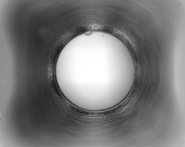 X0000098230545200804241203