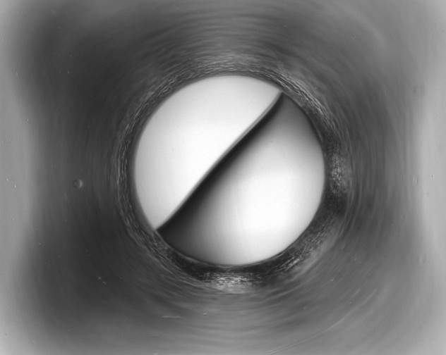 X0000098230547200804241203