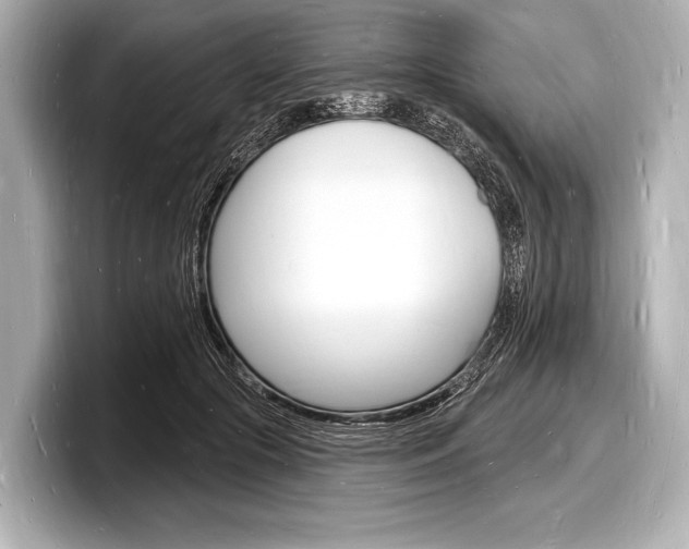 X0000098230553200804241204