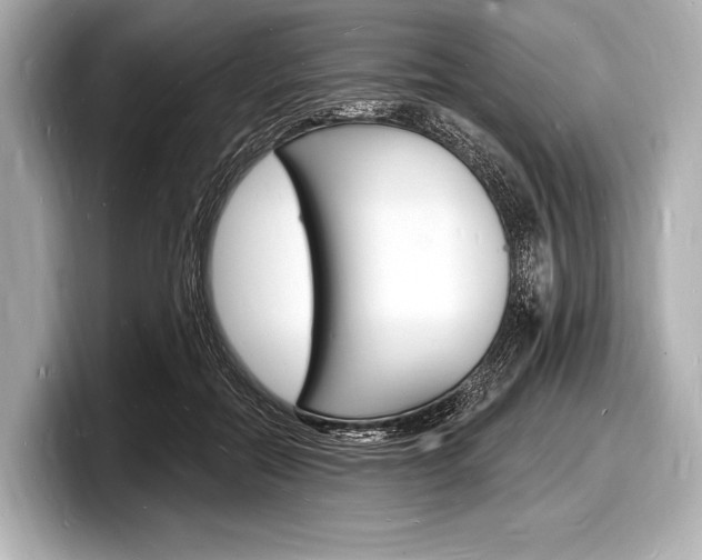 X0000098230554200804241204