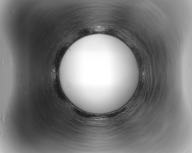X0000098230555200804241204