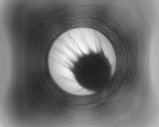 X0000098230556200804241204