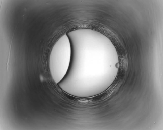 X0000098230557200804241204