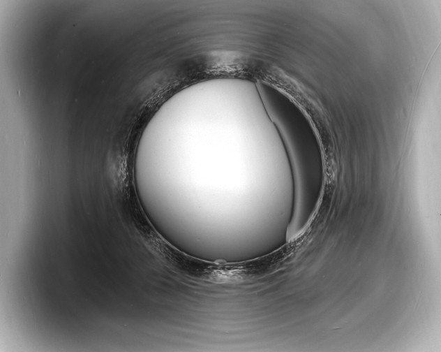 X0000098230560200804241204