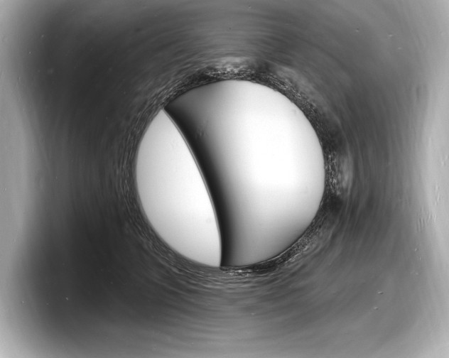X0000098230563200804241204