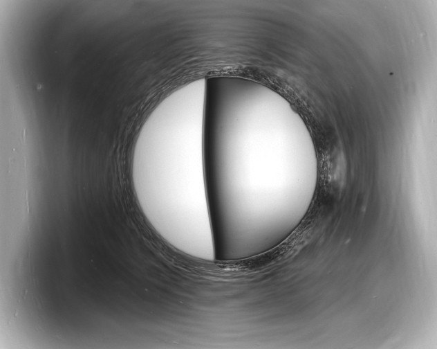 X0000098230564200804241204