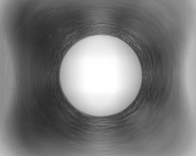 X0000098230568200804241204