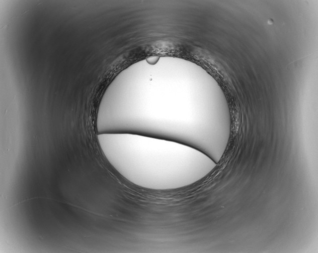 X0000098230569200804241204