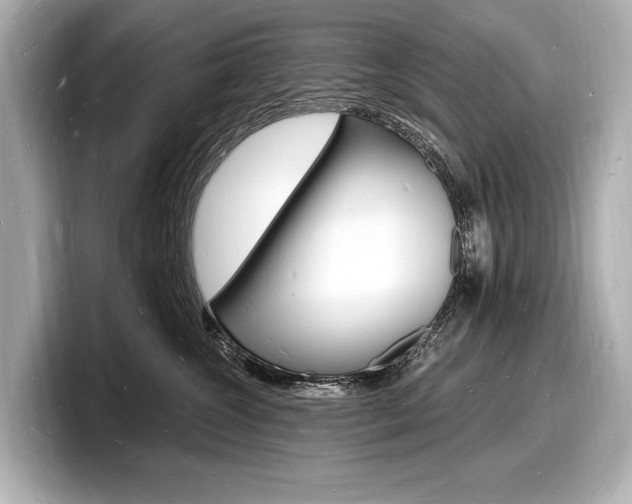 X0000098230572200804241204