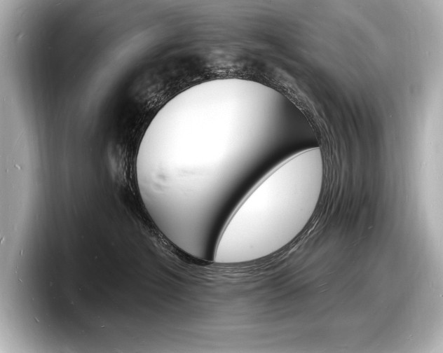 X0000098230574200804241204