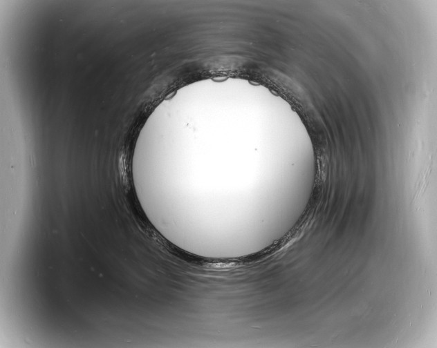 X0000098230575200804241204