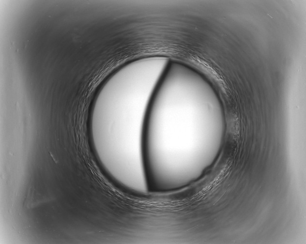 X0000098230577200804241203