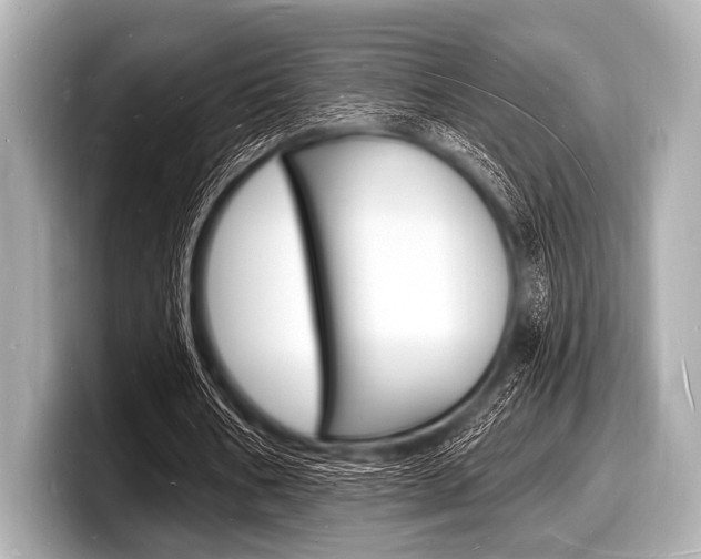 X0000098230578200804241203