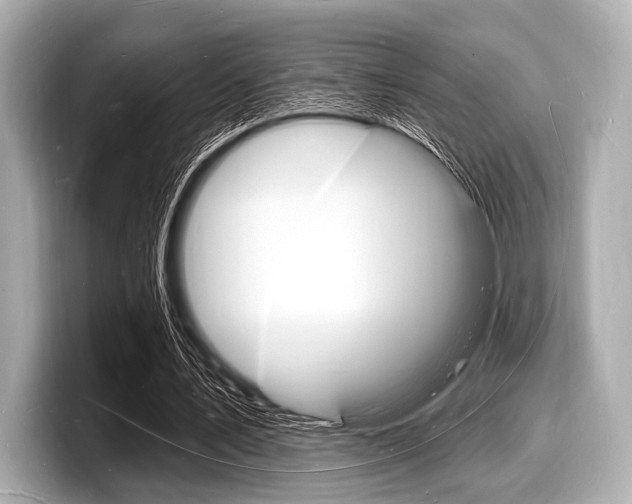 X0000098230579200804241203