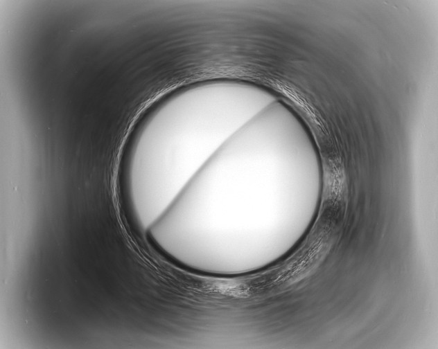X0000098230583200804241203
