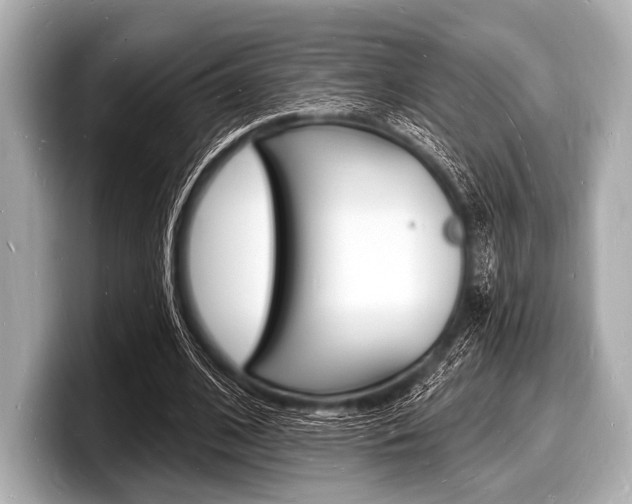 X0000098230584200804241203