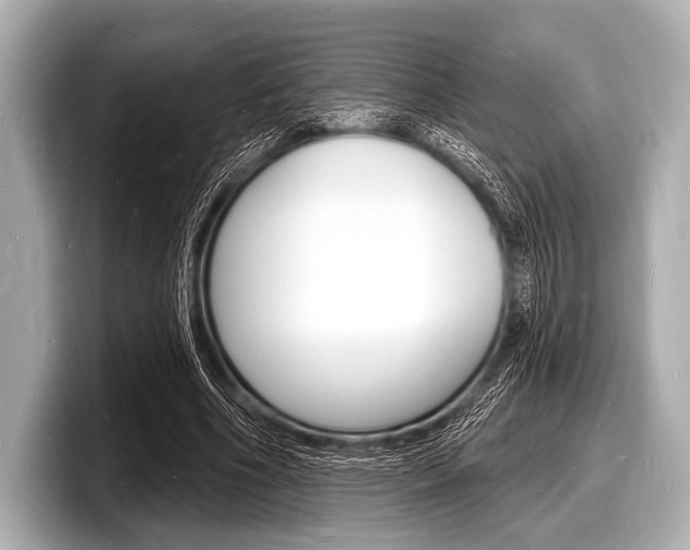 X0000098230586200804241203