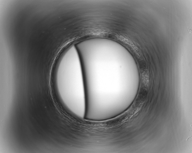 X0000098230587200804241203