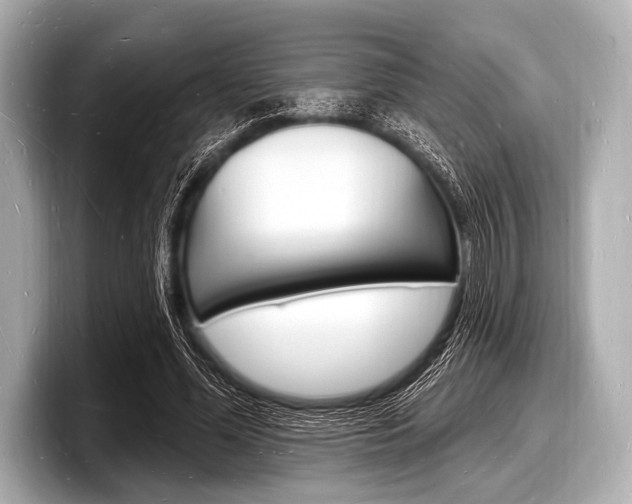 X0000098230588200804241203