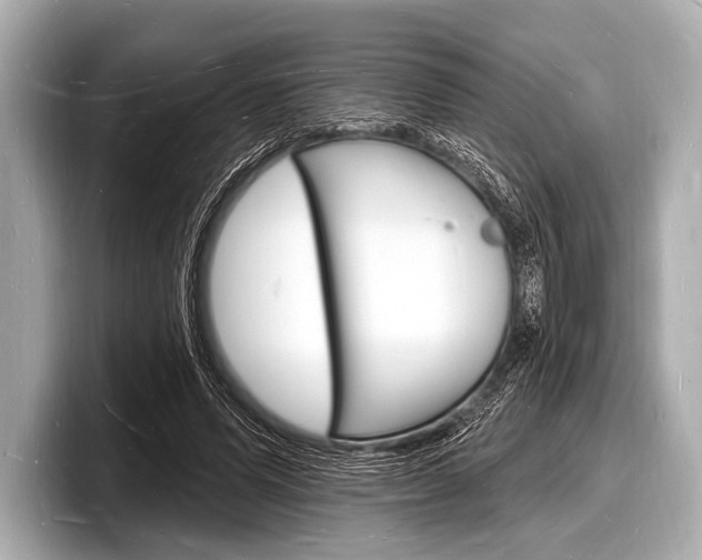 X0000098230591200804241203