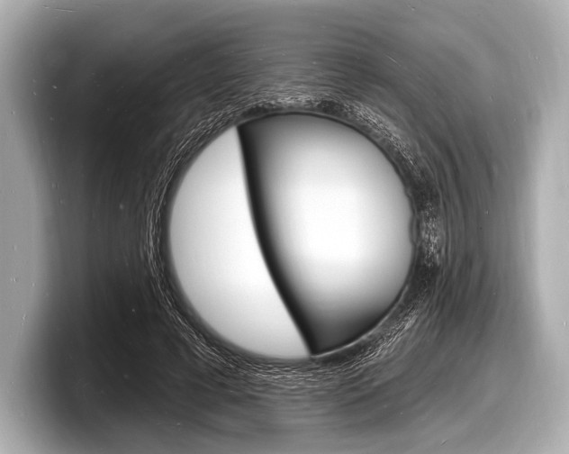 X0000098230593200804241203