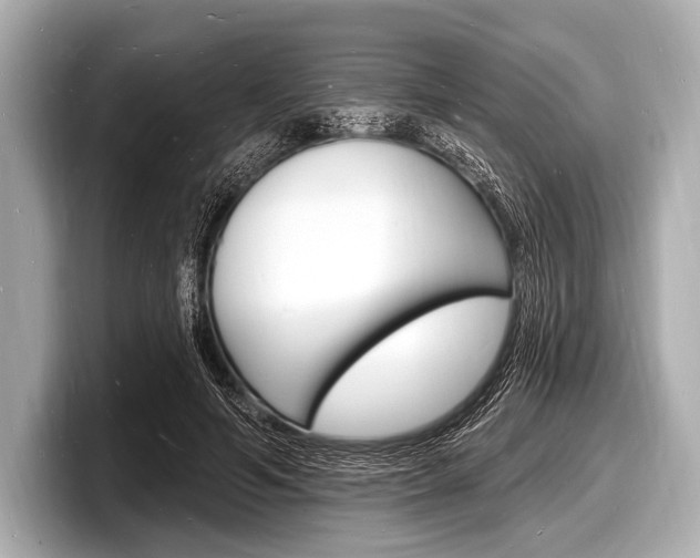 X0000098230594200804241203