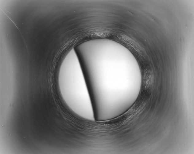 X0000098230595200804241203