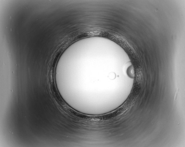 X0000098230598200804241203