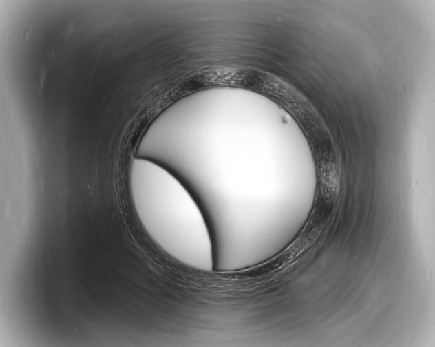 X0000098230602200804241203