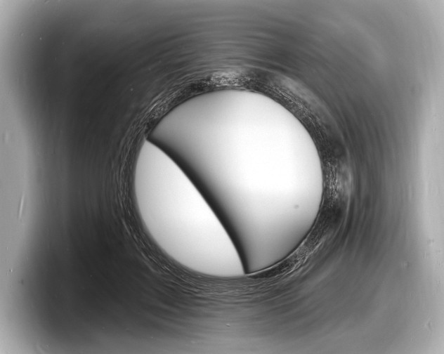 X0000098230603200804241203