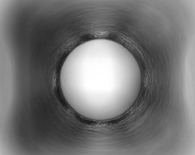 X0000098230604200804241203