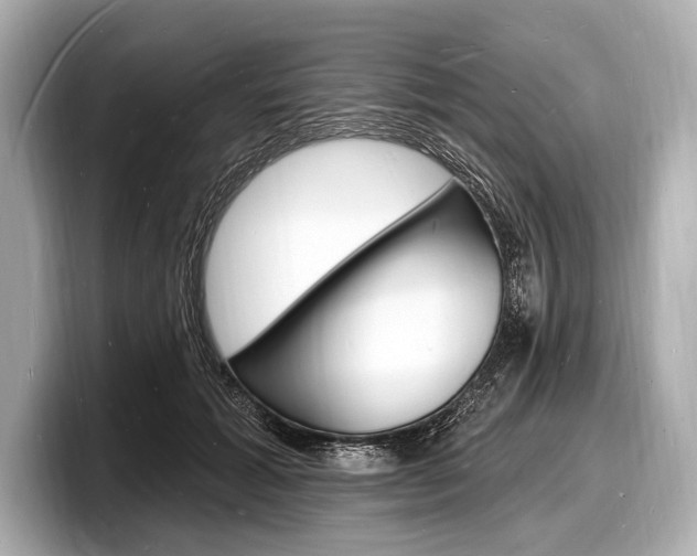 X0000098230605200804241203