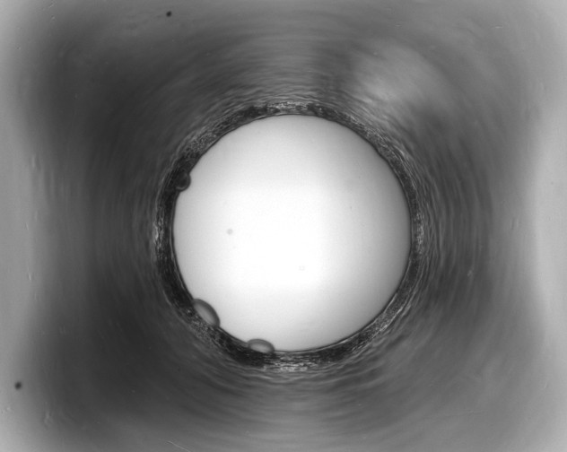 X0000098230608200804241203