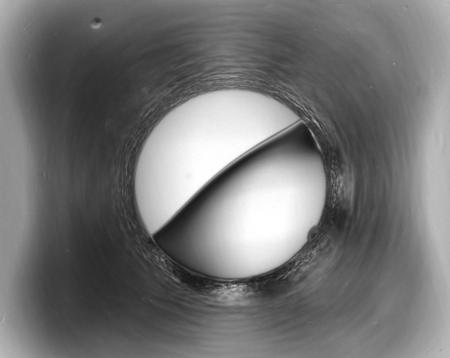 X0000098230609200804241203