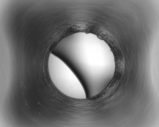 X0000098230612200804241203