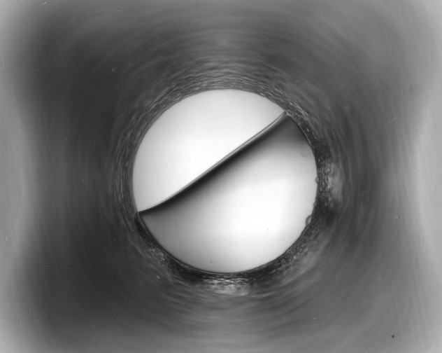 X0000098230615200804241203