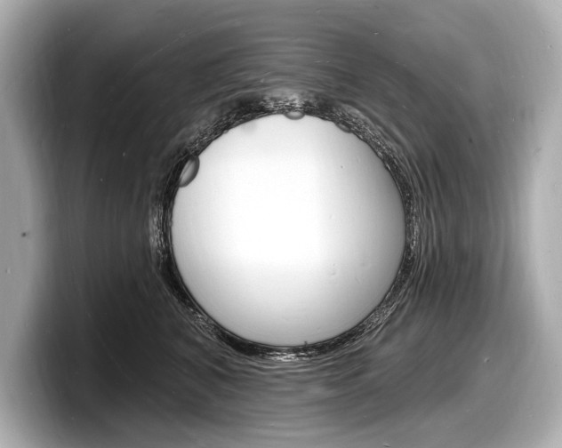 X0000098230616200804241203