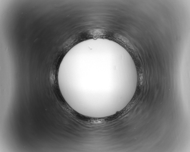 X0000098230618200804241203