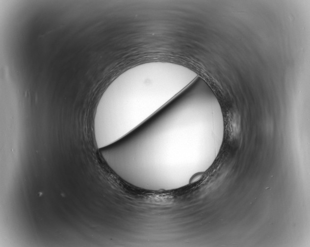 X0000098230619200804241203