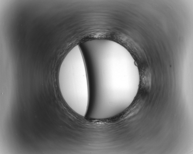 X0000098230620200804241203
