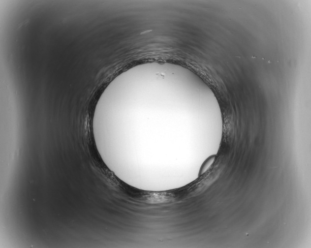 X0000098230623200804241203