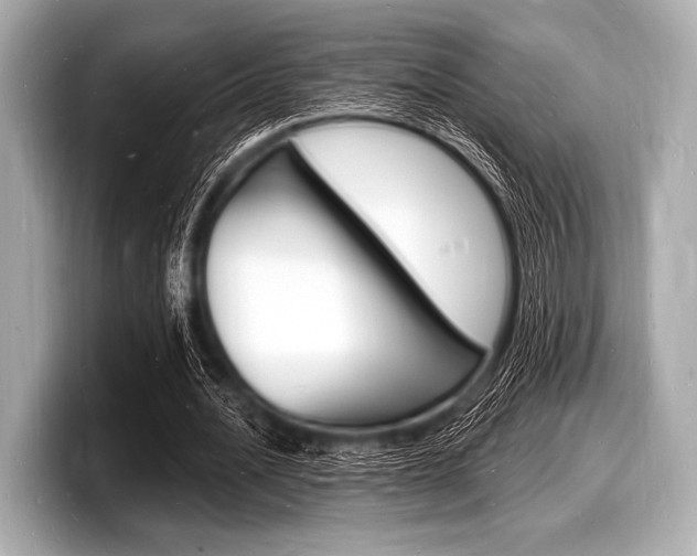X0000098230628200804241202