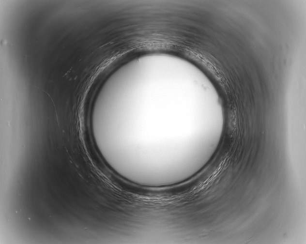 X0000098230629200804241202