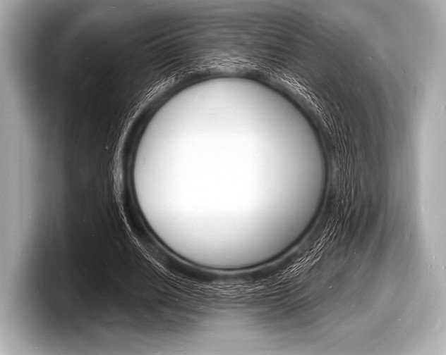 X0000098230630200804241202
