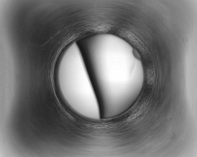 X0000098230634200804241202