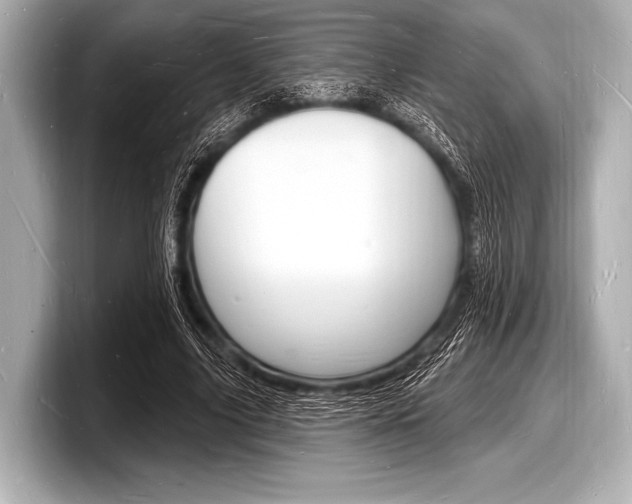 X0000098230635200804241202