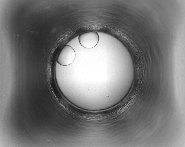 X0000098230638200804241202