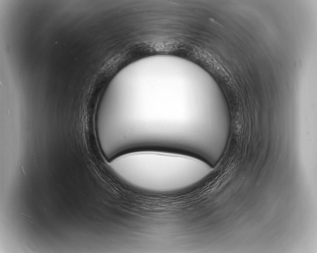 X0000098230639200804241202
