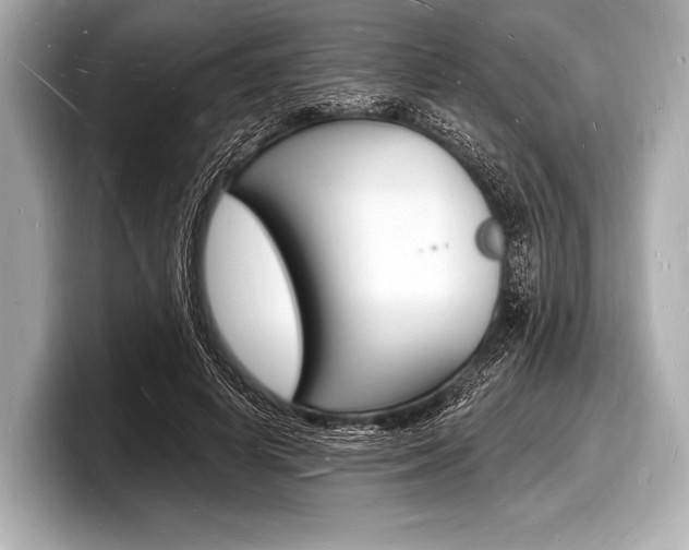 X0000098230642200804241202