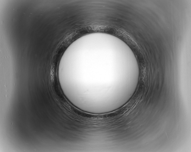 X0000098230644200804241202